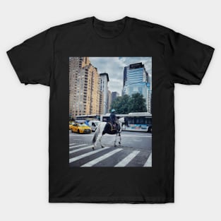 Central Park, Manhattan, New York City T-Shirt